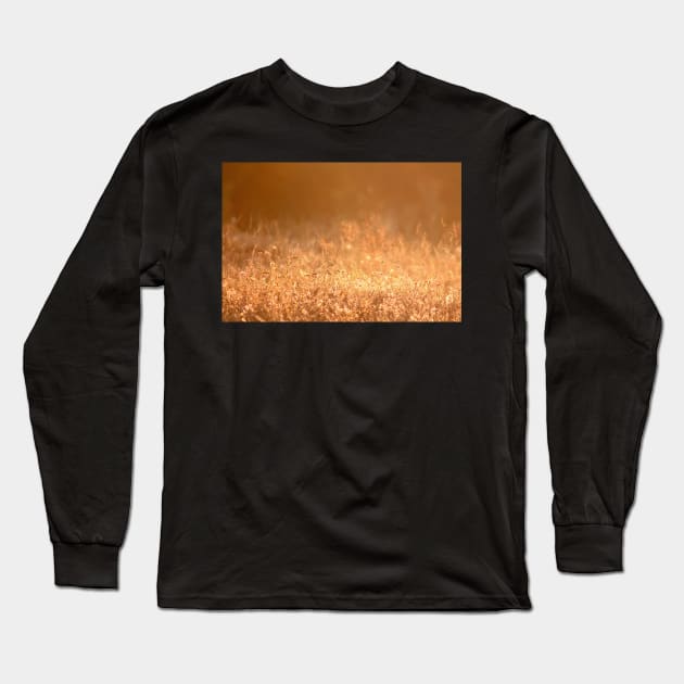 Golden grass field in the summer mountain photography Long Sleeve T-Shirt by KINKDesign